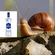 Avatar von döbby